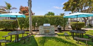 Bay Laurel Gallery 13