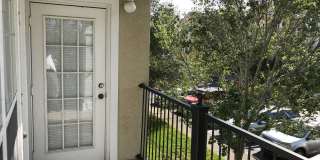 Beautiful 1-Bedroom Apartment for Rent in Mosaic at Millenia Gallery 13