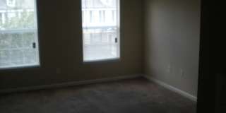 338 PECAN GROVE Drive Gallery 10