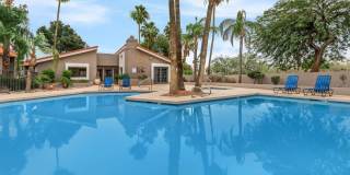 Element on the Loop Gallery 1