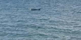 5430 - 5440 West Tyson Avenue Gallery 13