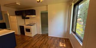 8709 HAYSHED LN #33 Gallery 4