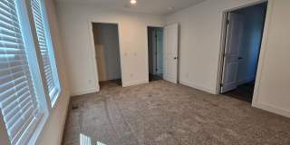 359 Lemon Drive Gallery 6