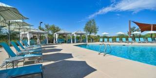 True Gem Located in Fireside at Desert Ridge!!!  Fully Furnished, close to Mayo North campus!!!  Community Pool, Fitness, Club House of Desert Ridge!!!  Upgraded, large lot, Ready for you!!! Gallery 96