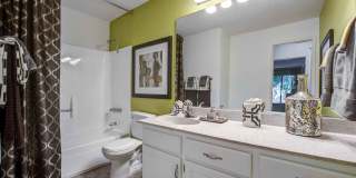 Alura Gallery 8