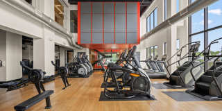 The Pioneer Gallery 67