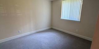 Northgate Gallery 289