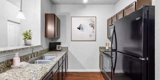 Lirio Gallery 1