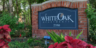 White Oak Gallery 7