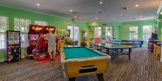 8121 FAN PALM Way Gallery 42