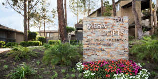 Elán Mesa Lofts Gallery 10