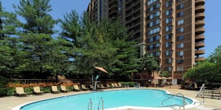 The Magnolia Gallery 47