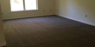 Chestnut Hill East Gallery 17