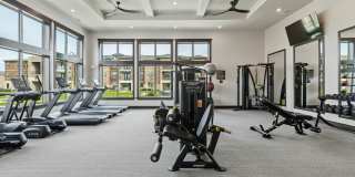 Lakeview at the Gates of Prosper Gallery 44