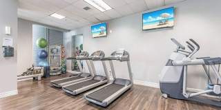 Elements on Third Gallery 32