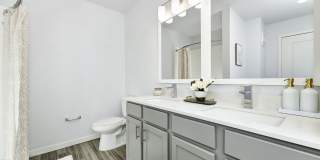 NOVO Avian Pointe Gallery 6