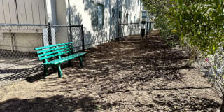 Marina Crescent Gallery 5