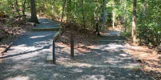5904 MOUNT EAGLE DR #1609 Gallery 51