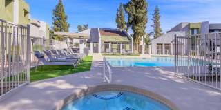 Lemon & Pear Tree Apartments Gallery 11