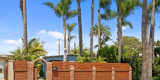 721 Palms Gallery 5