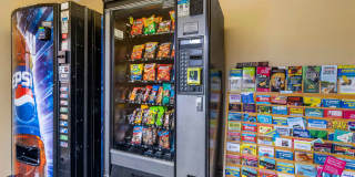 Tampa - North Airport Gallery 10