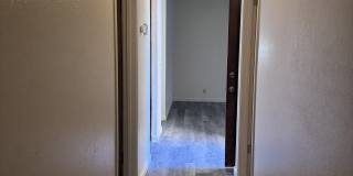 1138 Forestwood Dr 1138 Forestwood Dr Gallery 15