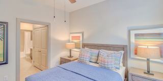 Windsor South Lamar Gallery 18