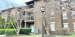 7917 CORIANDER Drive Gallery 1
