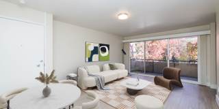 115 Moss Avenue Gallery 1