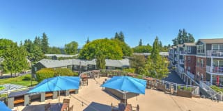 Shorewood Gallery 49