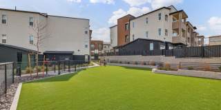 Elysium Reno Gallery 19