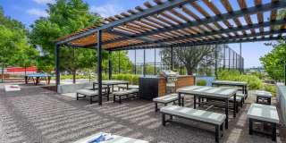 Avens Point Gallery 15