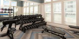 The Arden Gallery 19