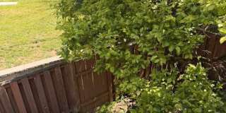 5976 NORHAM Drive Gallery 30