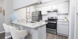 The Lynx The Lynx Gallery 13