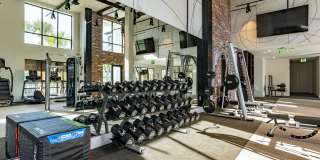 Alta Longwood Gallery 38