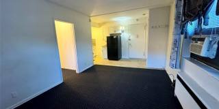 411 Park 2J Gallery 1