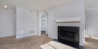 Steeplechase Gallery 21