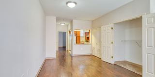 North Market/South Carroll Apartments Gallery 12