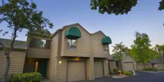 Towpath Village Gallery 22