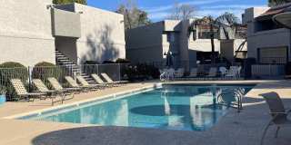 4444 E PARADISE VILLAGE Parkway N Gallery 14