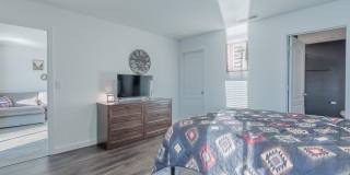 12634 CACAO TREE Trail Gallery 17