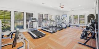 Anatole on MacArthur Gallery 22