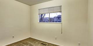 Students Welcome! 5 Bedroom home in West Fort Collins Gallery 1