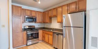 The Veridian Gallery 26