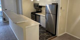 7531 Spring Lake Drive Gallery 5