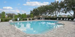 Adela at Orange Blossom - Townhomes & Apartments Gallery 23