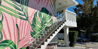Palms on 31 Gallery 10