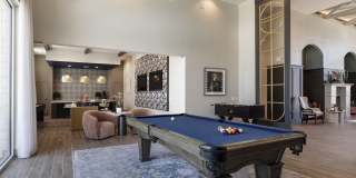 Eightyone10 Blue Goose Gallery 16