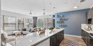 The Briscoe The Briscoe Gallery 6